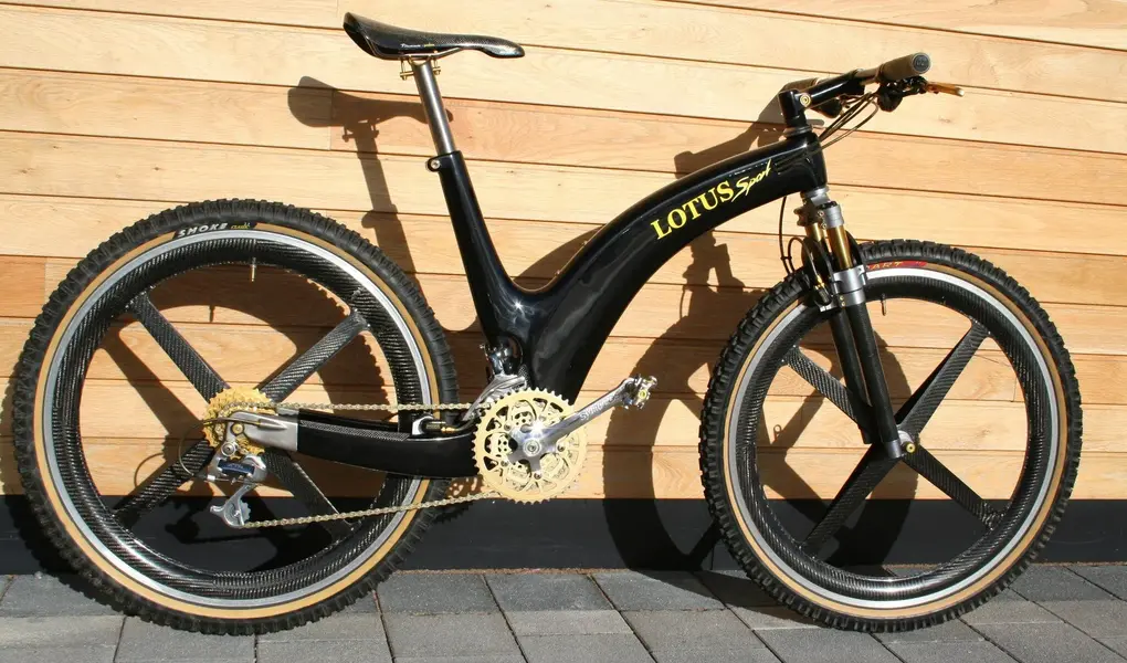 lotus 1.jpg