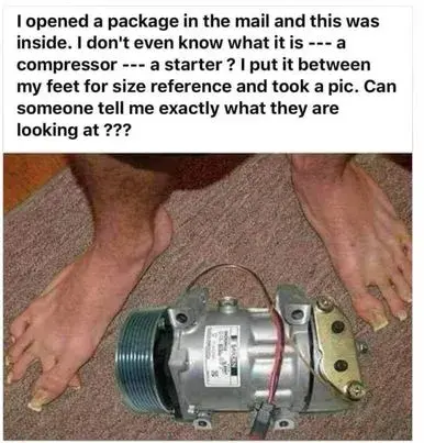 178658332_910529473064595_3329395626550048054_n.webp