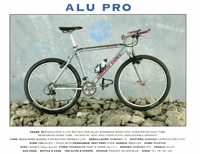 11.webp
