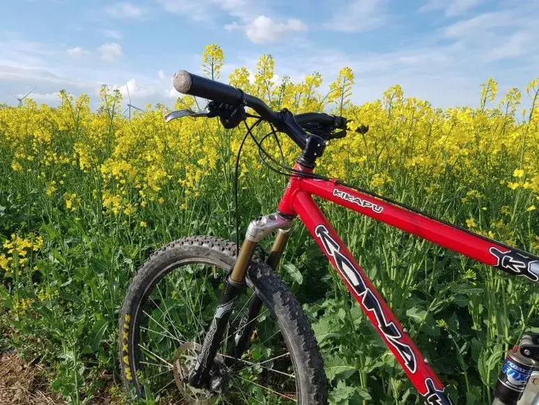 Kona-1.jpg