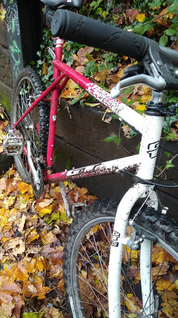 IMG-20191115-WA0013.webp