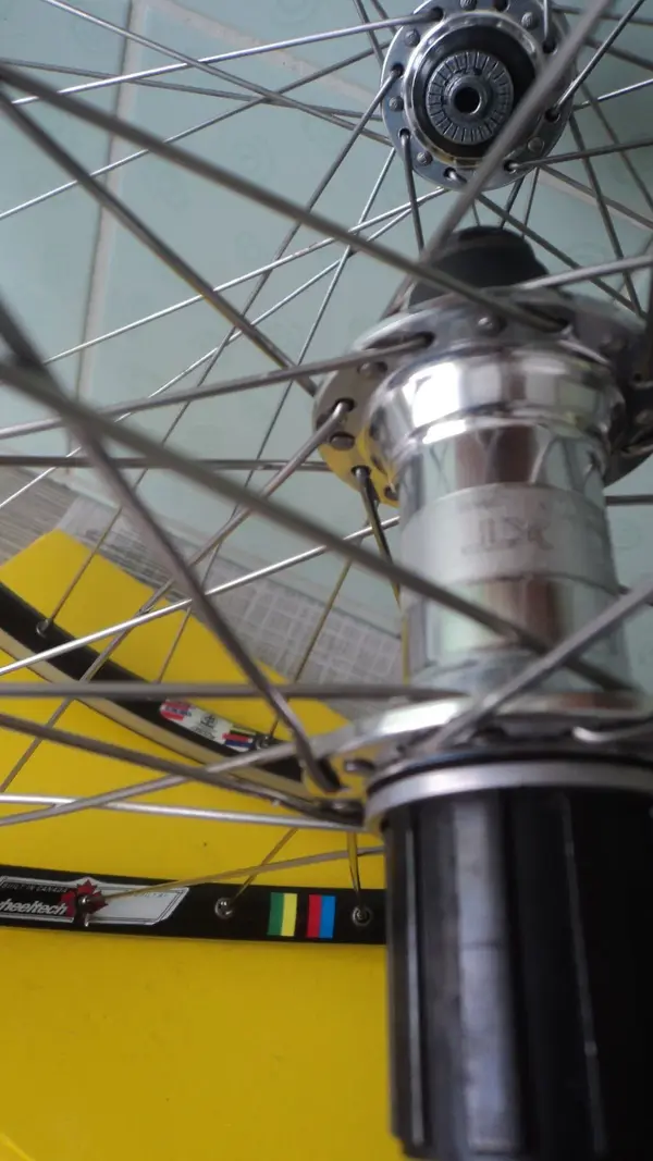WHEELS3.webp