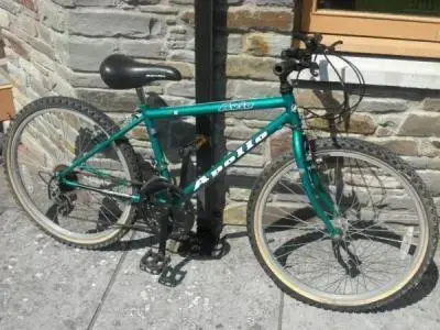 884438.apollo_avio_10_speed_bike_14_frame_for_large_child_small_adult_7442479.jpg