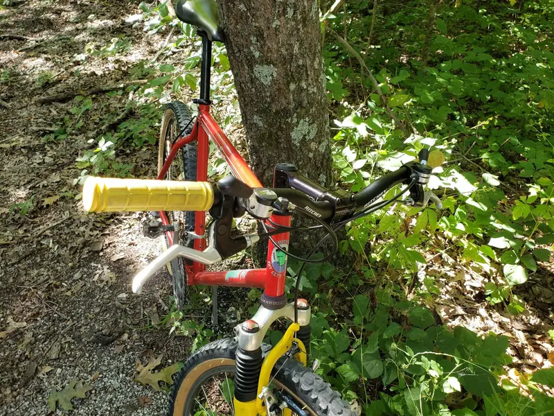 20200819_104133.webp