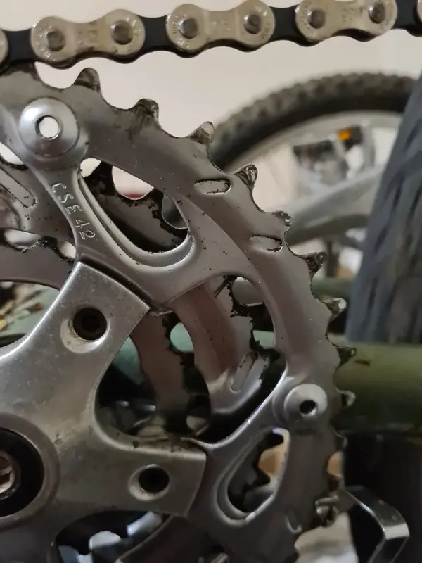 16216318144235693574489612312876.webp