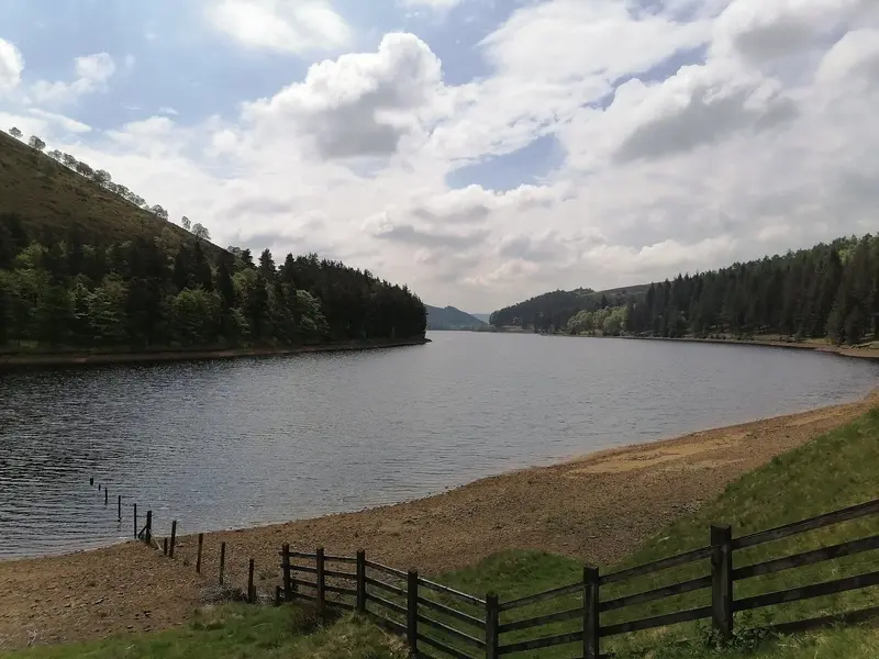 IMG_20210529_113310.webp