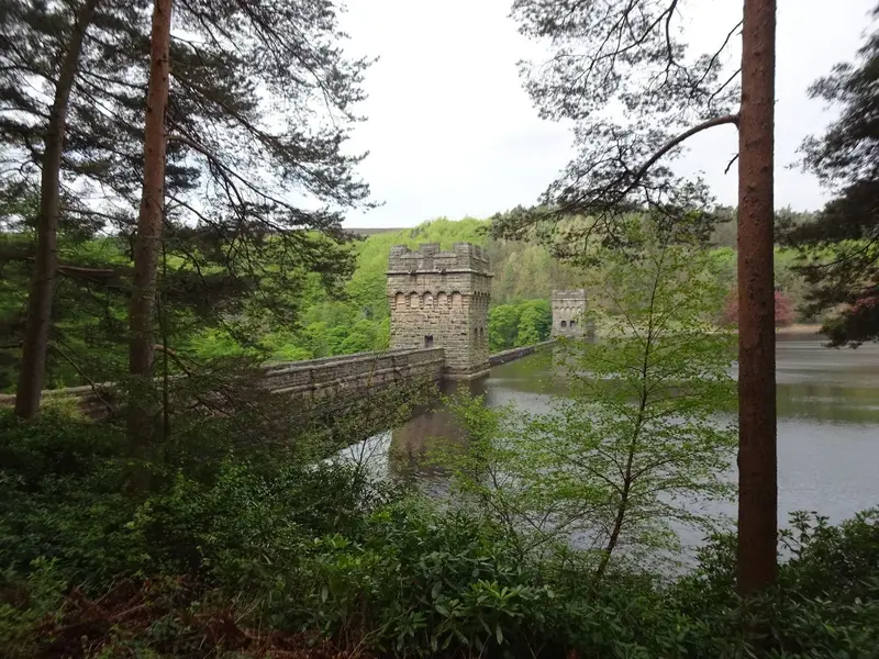 Photo 29-05-2021, 10 54 19.webp
