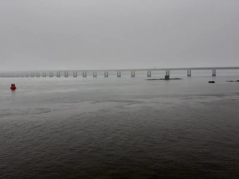 20210530_095057.jpg