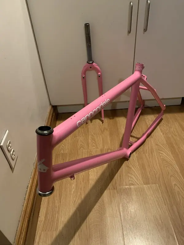 47 Frame and Fork with Headset.webp