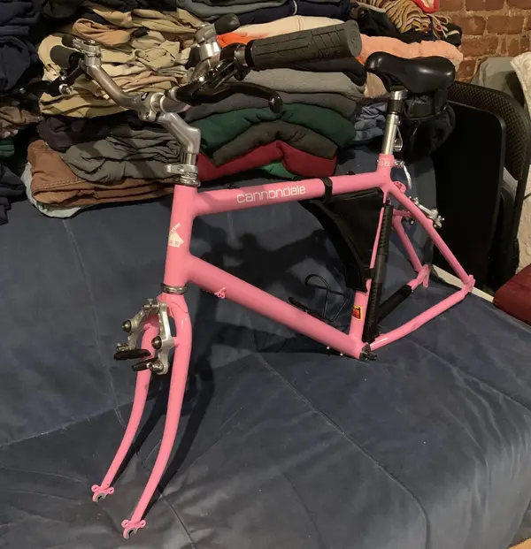 54 Frame with BB and Brakes.webp