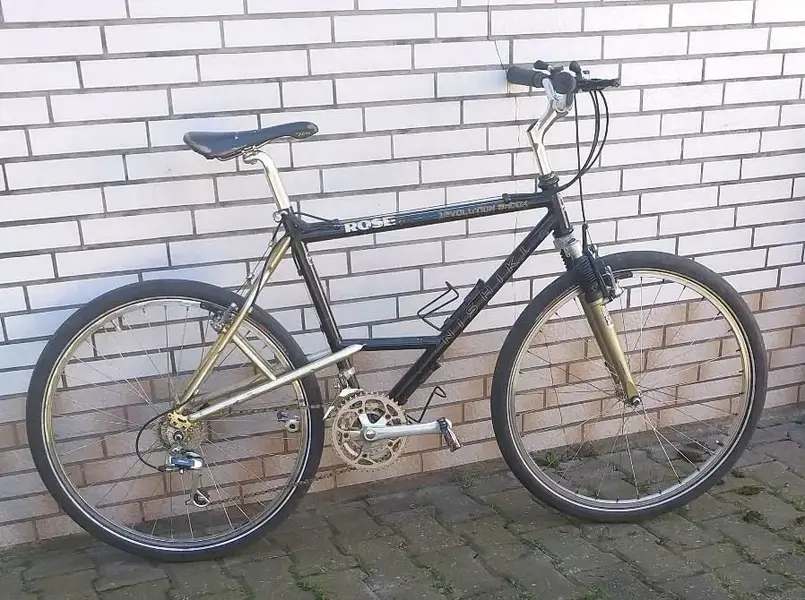 Nishiki Revolution.webp