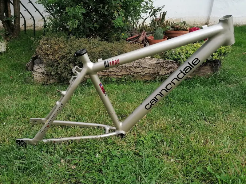 DCD20EF2-C800-45D4-82C5-199091294AD7.webp