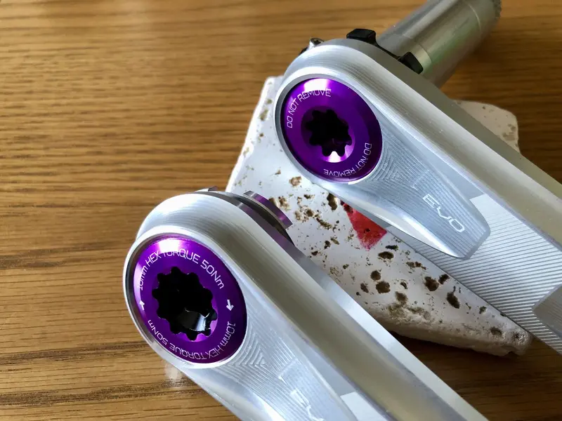 purple.JPG