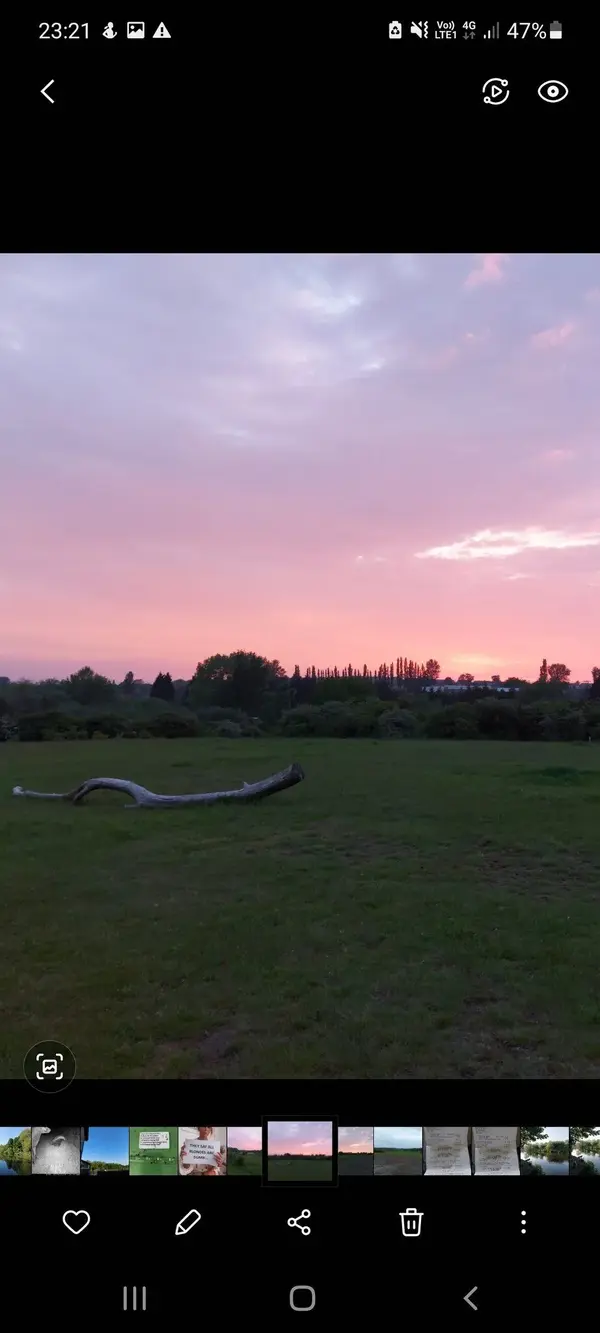 Screenshot_20210611-232105_Gallery.webp