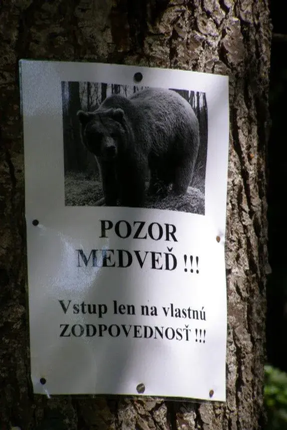 m.webp