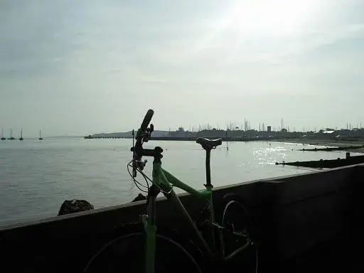 early morning sun.webp