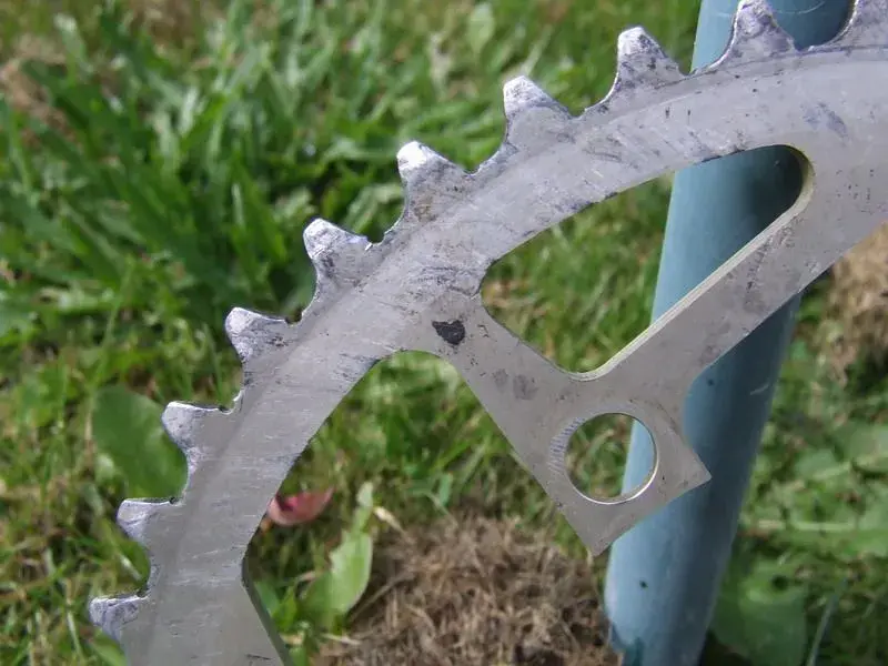 DSCF1899.webp