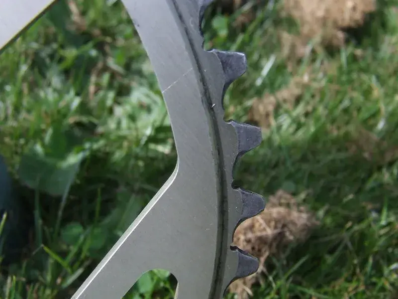 DSCF1898.webp