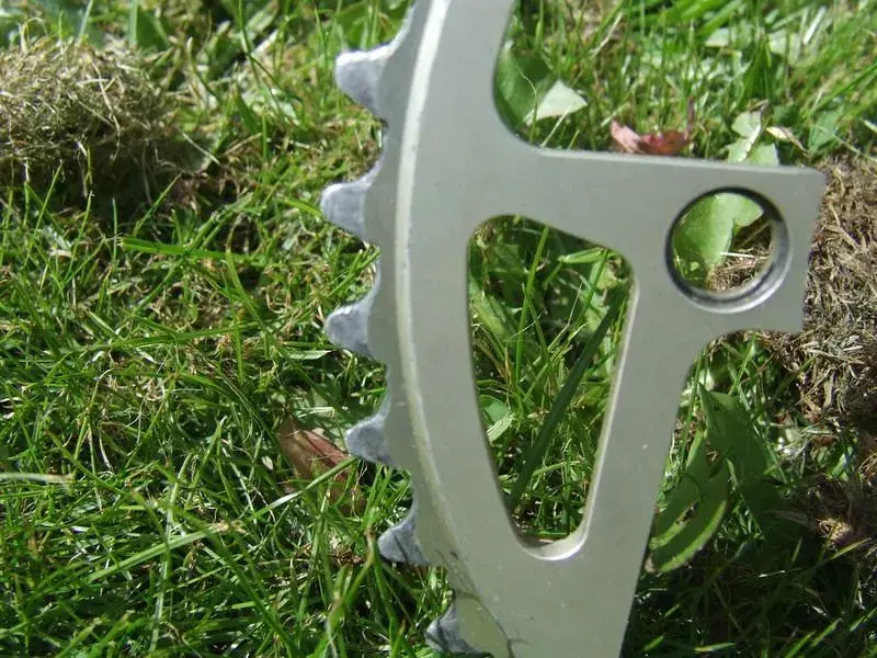 DSCF1897.webp