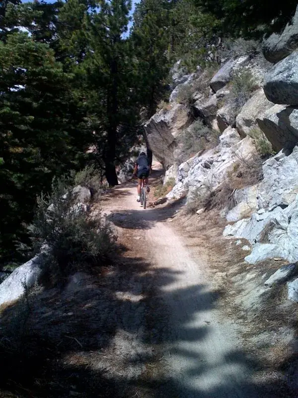 Pat's back Flume ride.webp