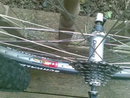 Wheels 2.webp