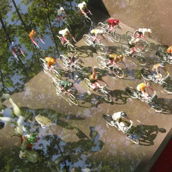 TDF.webp