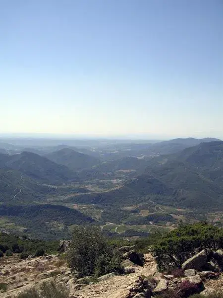 Quite a climb.webp