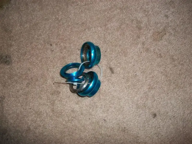 Picture 114 (Medium).webp