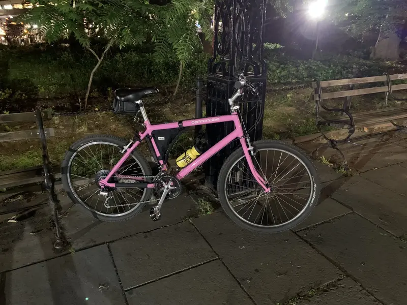 75 Third Ride.webp