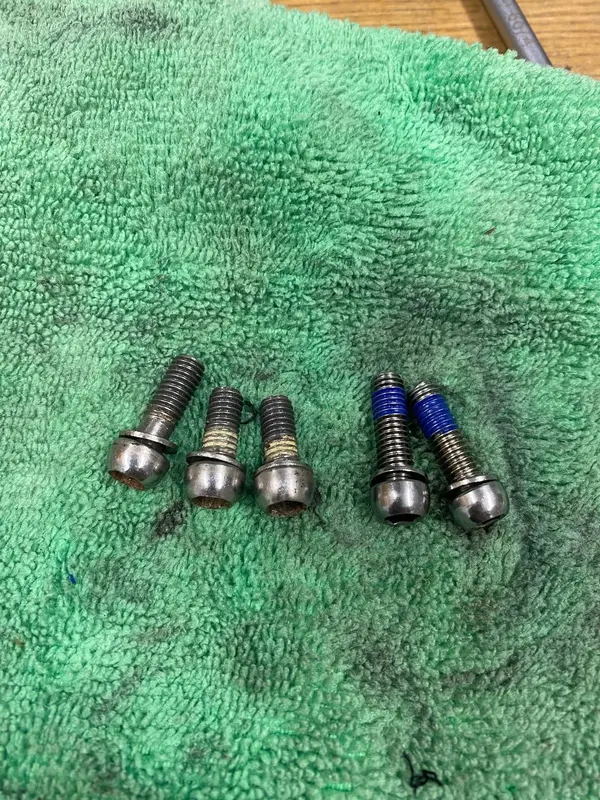 bolts 2.webp