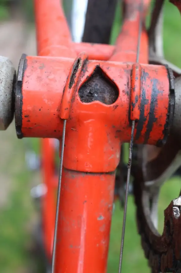 bike6.webp