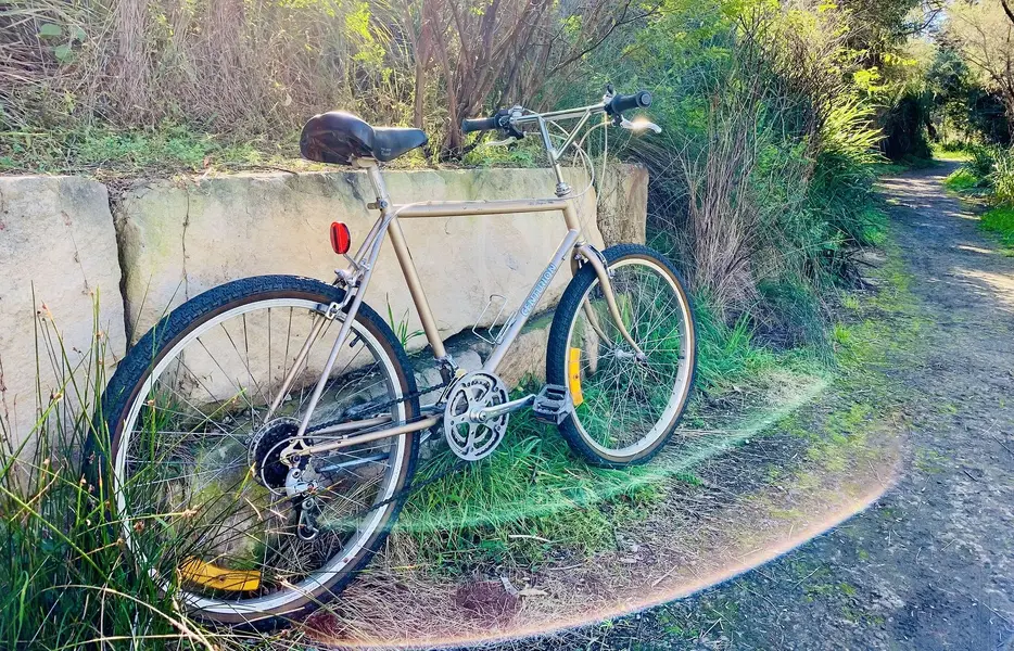 centurionMTB.webp