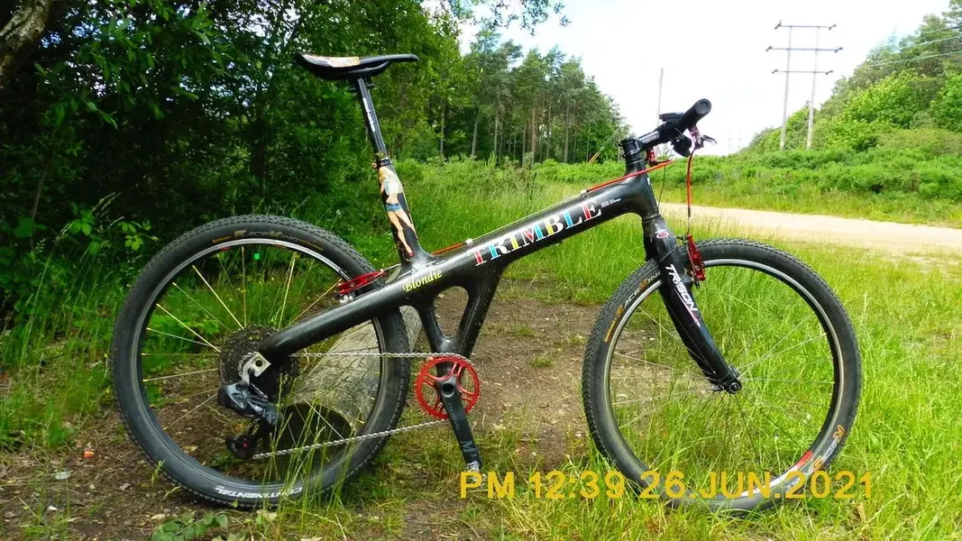 todays picture 2.webp