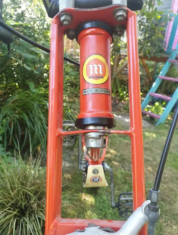 Screenshot_20210626-123407_Photos.webp