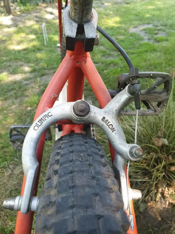 Screenshot_20210626-123341_Photos.webp