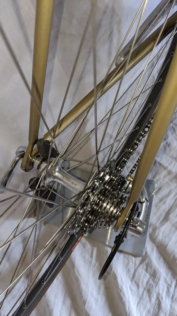 07 rear wheel.webp