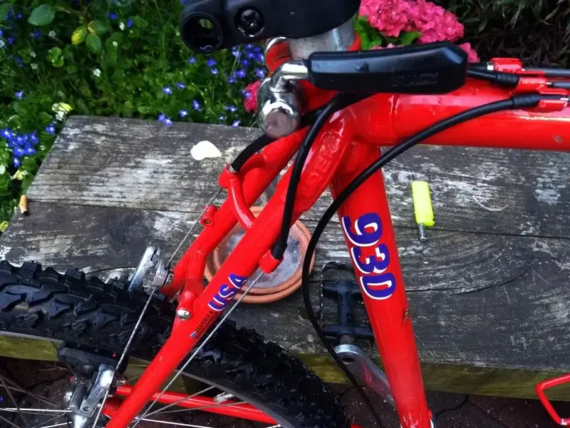 trek 5.webp