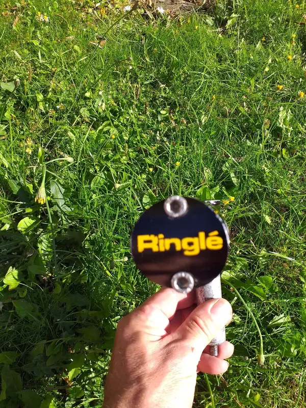 20210717_172556.jpg