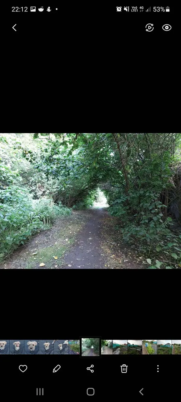 Screenshot_20210719-221239_Gallery.webp