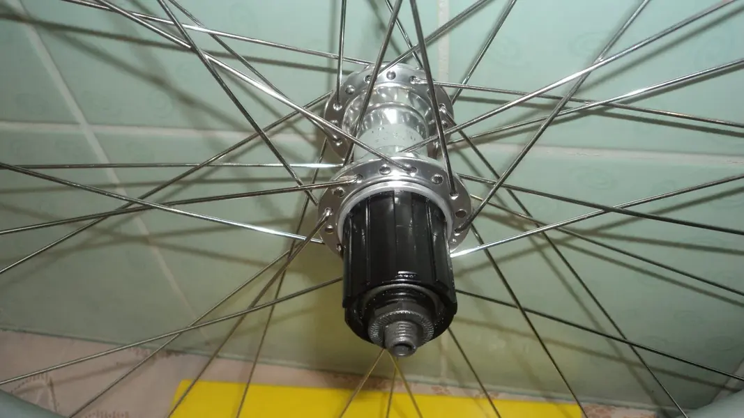 WHEELS6.webp