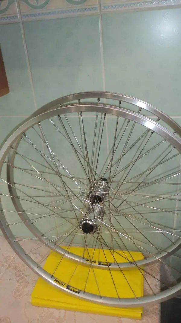 WHEELS.webp