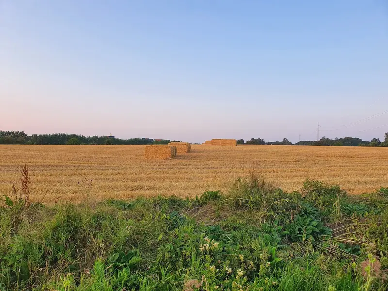 20210724_210756.webp