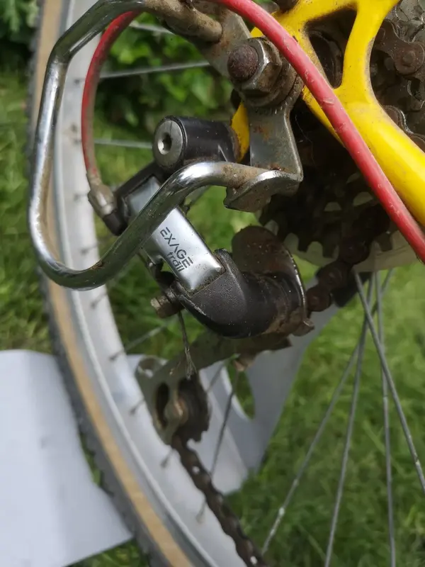 IMG-20190618-150916.webp