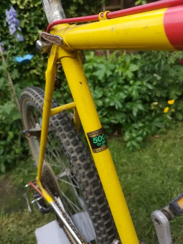 IMG-20190618-150908.webp