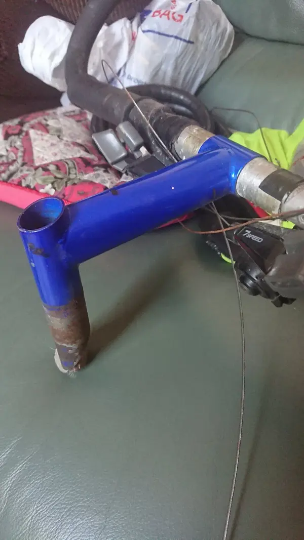 Original stem.JPG