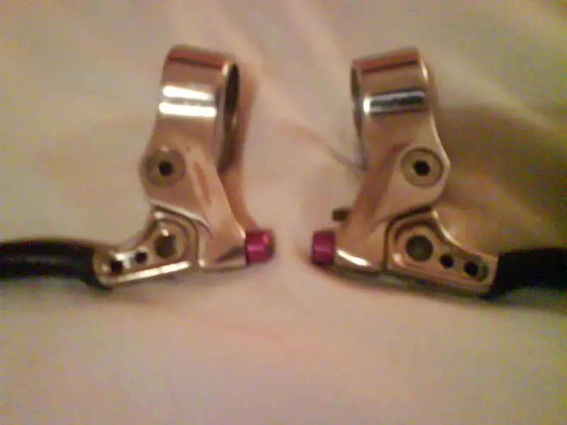 DSC00282.webp