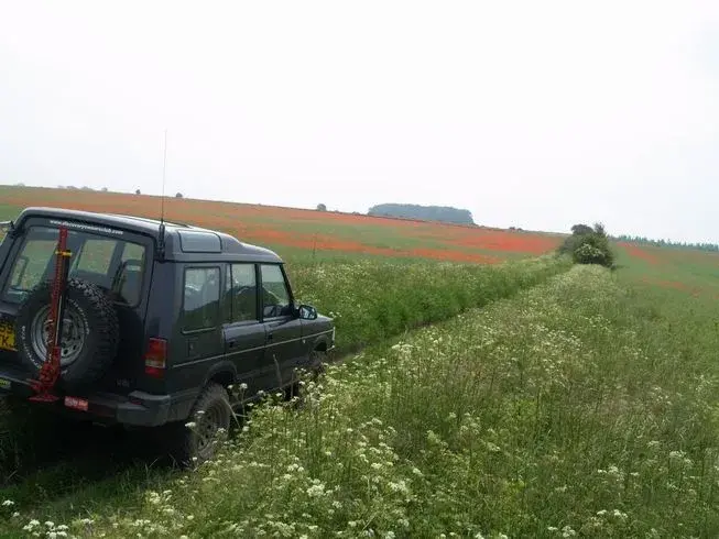 Poppies Gloucestershire.webp