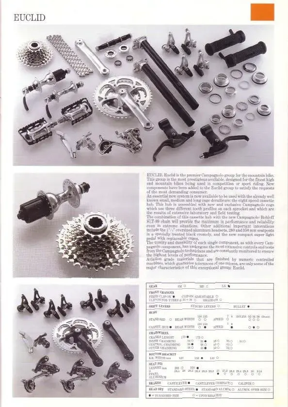 Euclid1991.webp