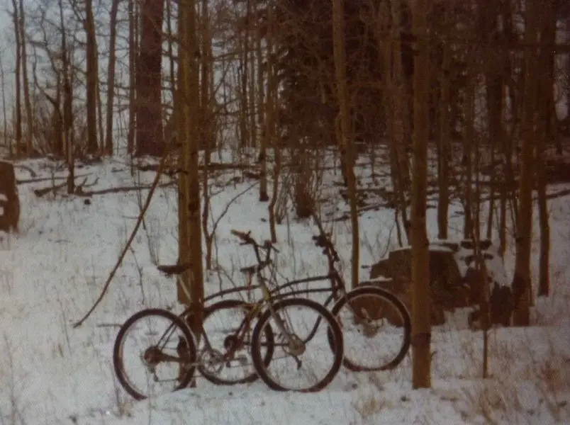 CaribouBikes.webp