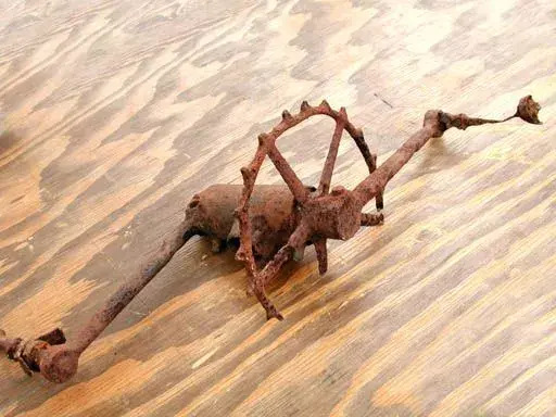 rust[1].webp